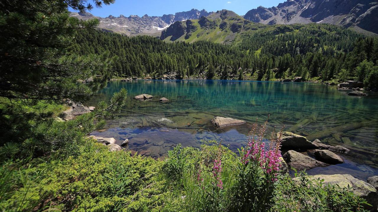 Ca' Del Borgo, Rooms & Suites Poschiavo Zewnętrze zdjęcie